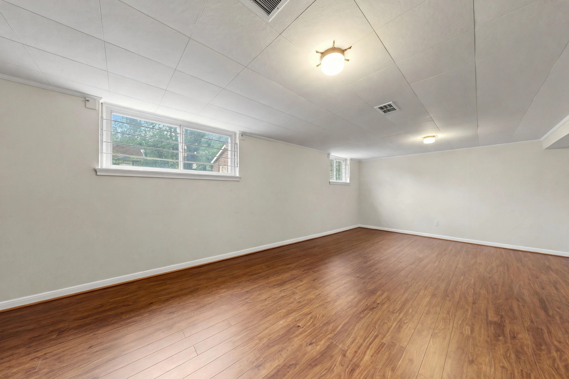Finished basement recreation room