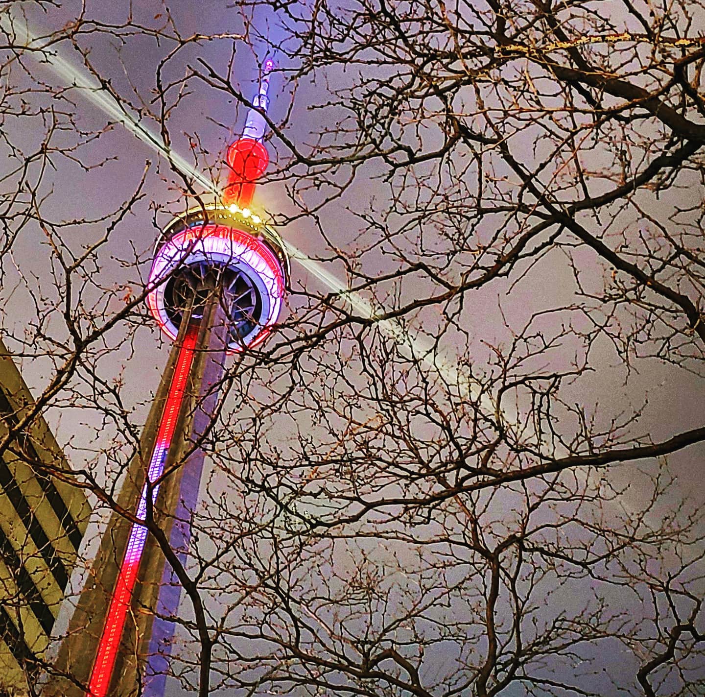 The CN Tower rising above downtown Toronto
