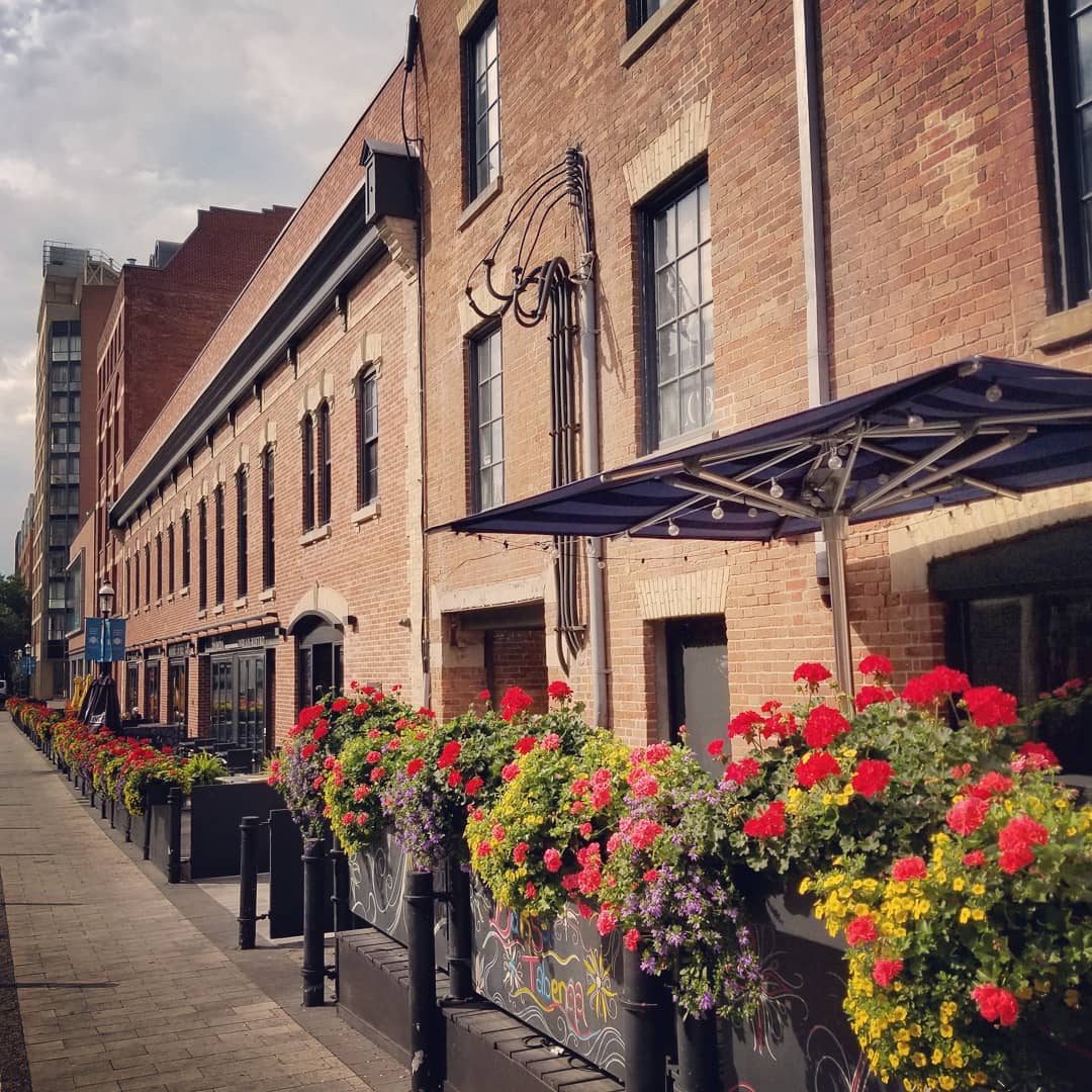 Flower boxes outside Market Street Catch in St. Lawrence, Toronto