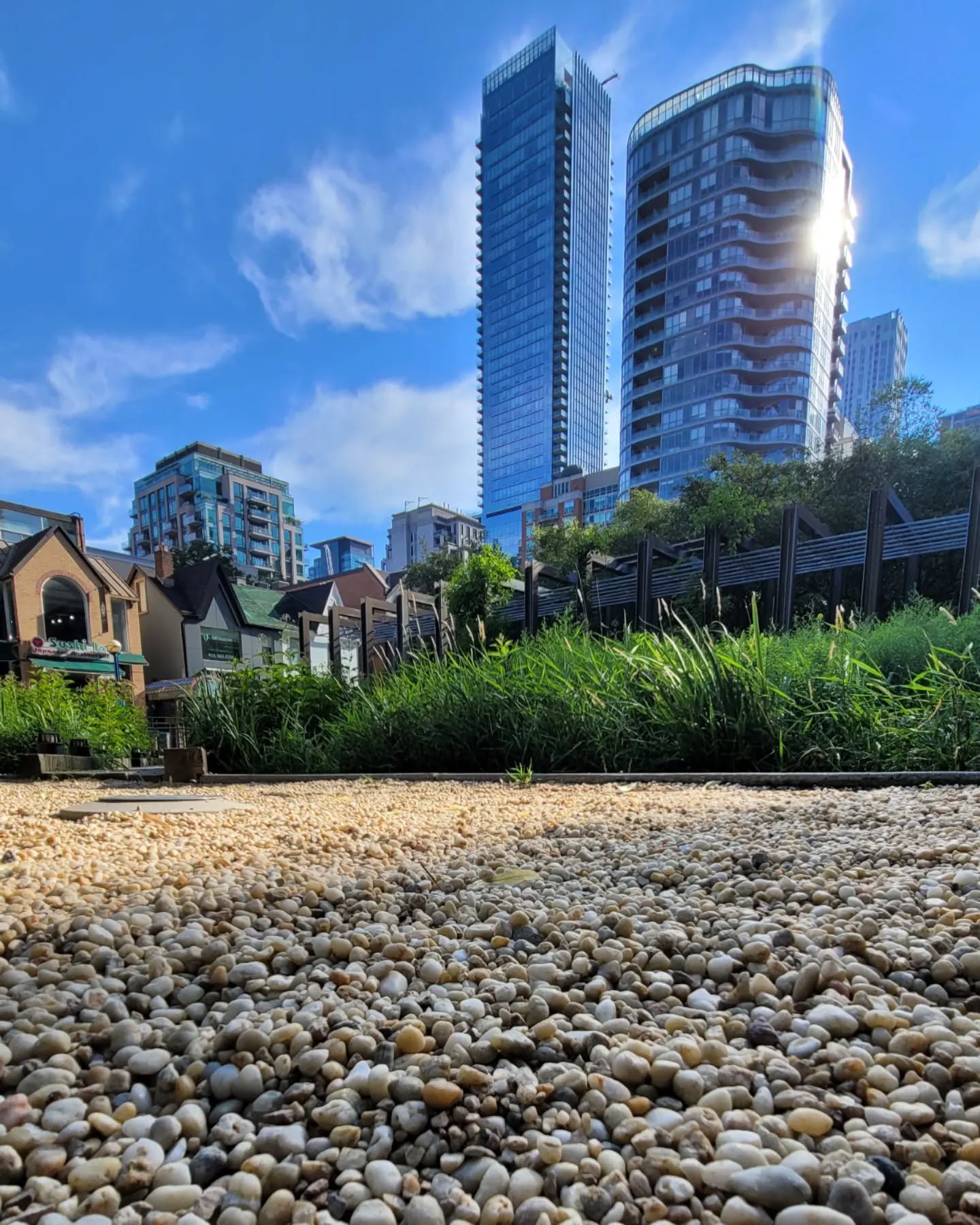 Village of Yorkville Park with condo towers behind, Toronto