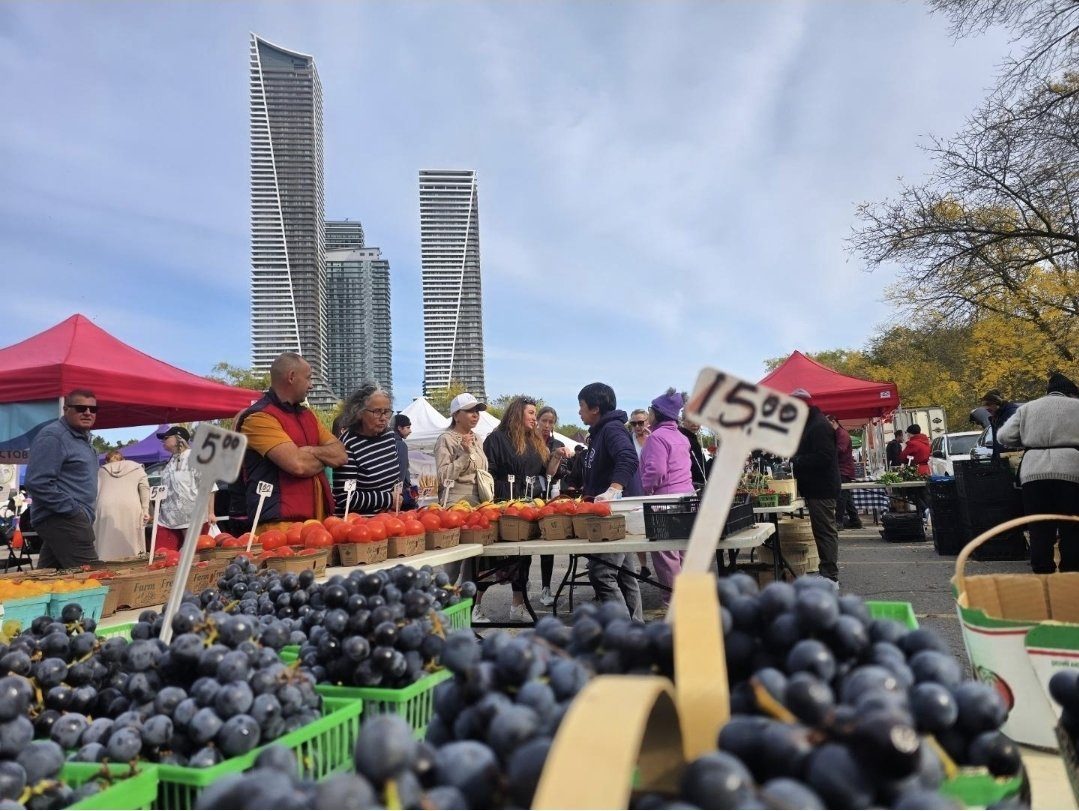 Concord grapes and heirloom tomatoes with the Eau du Soleil towers behind