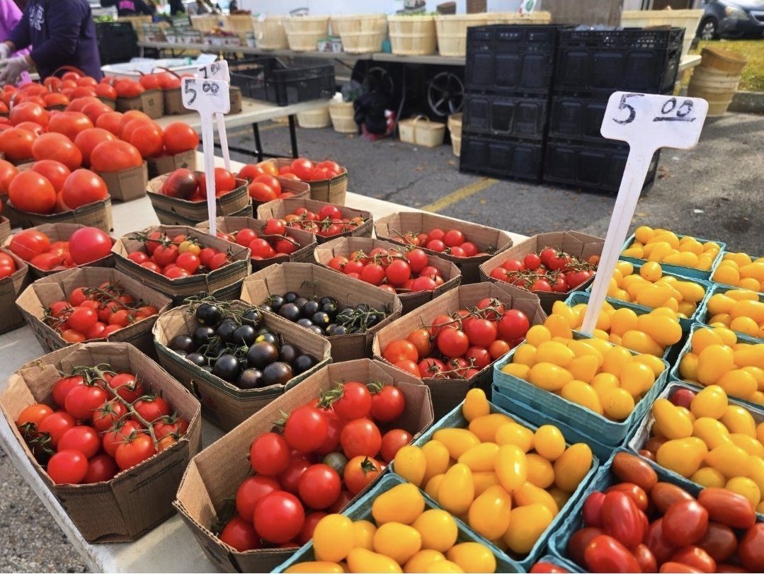 Heirloom tomatoes in red and yellow