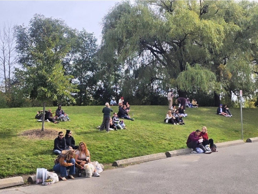 Families picnicking on the grassy hill beside the farmers' market
