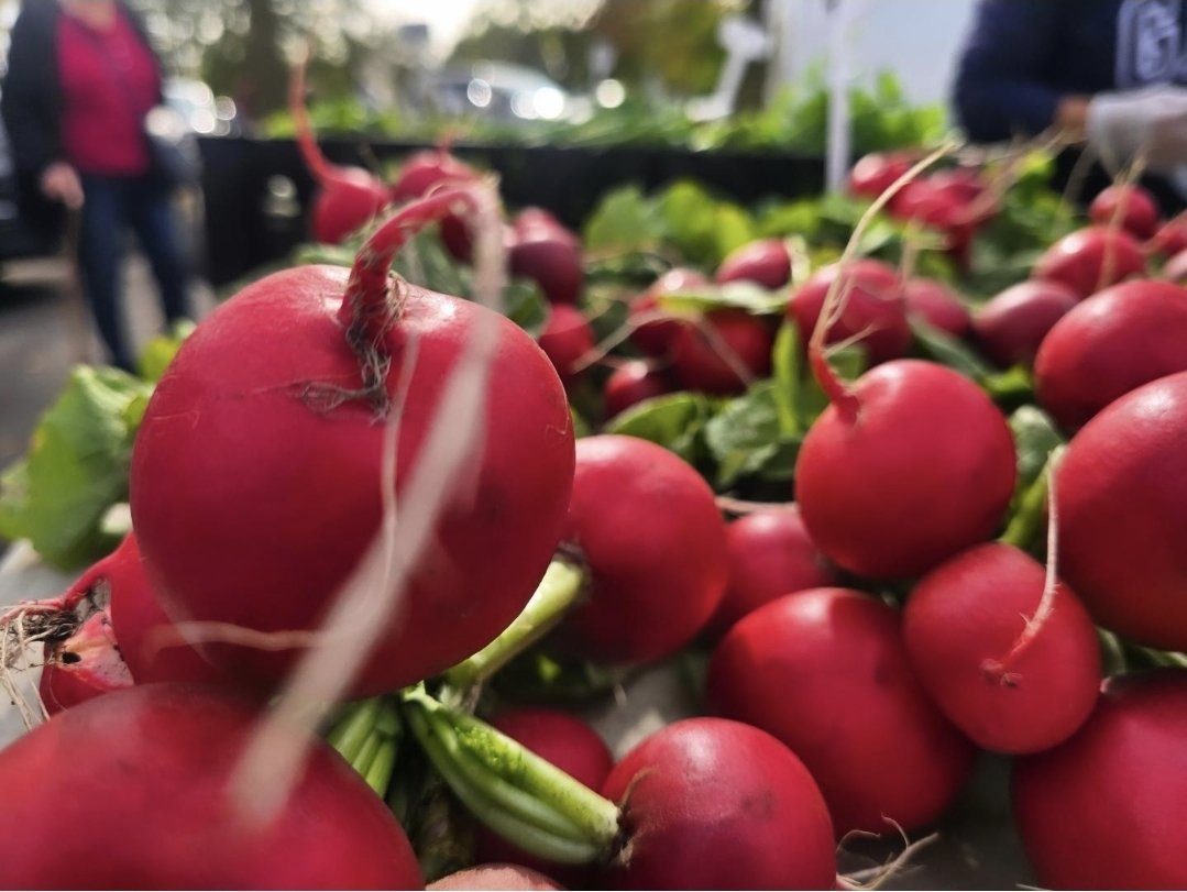 Fresh red radishes at a produce stall