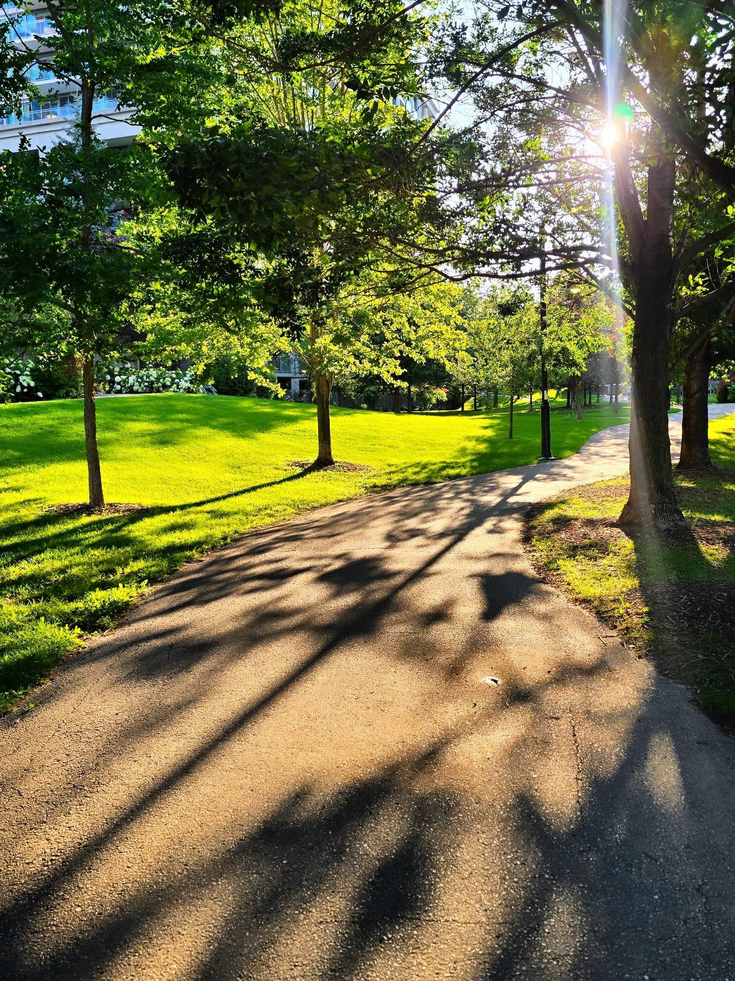 Sun-dappled path winding through Jean Augustine Park along Humber Bay, next to Newport Beach Condominiums