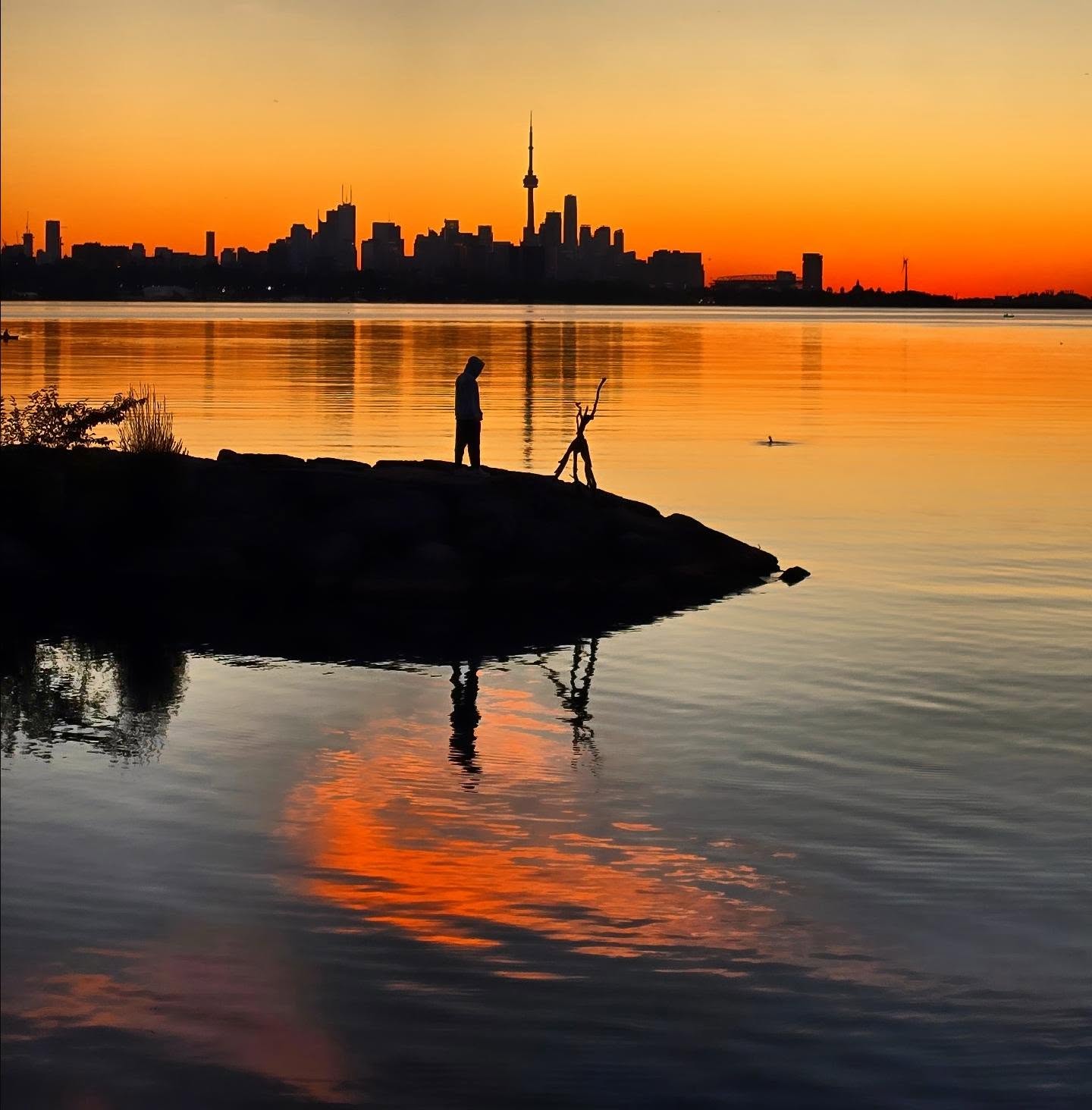 Sunrise over the lake with the Toronto skyline on the horizon, Humber Bay Shores