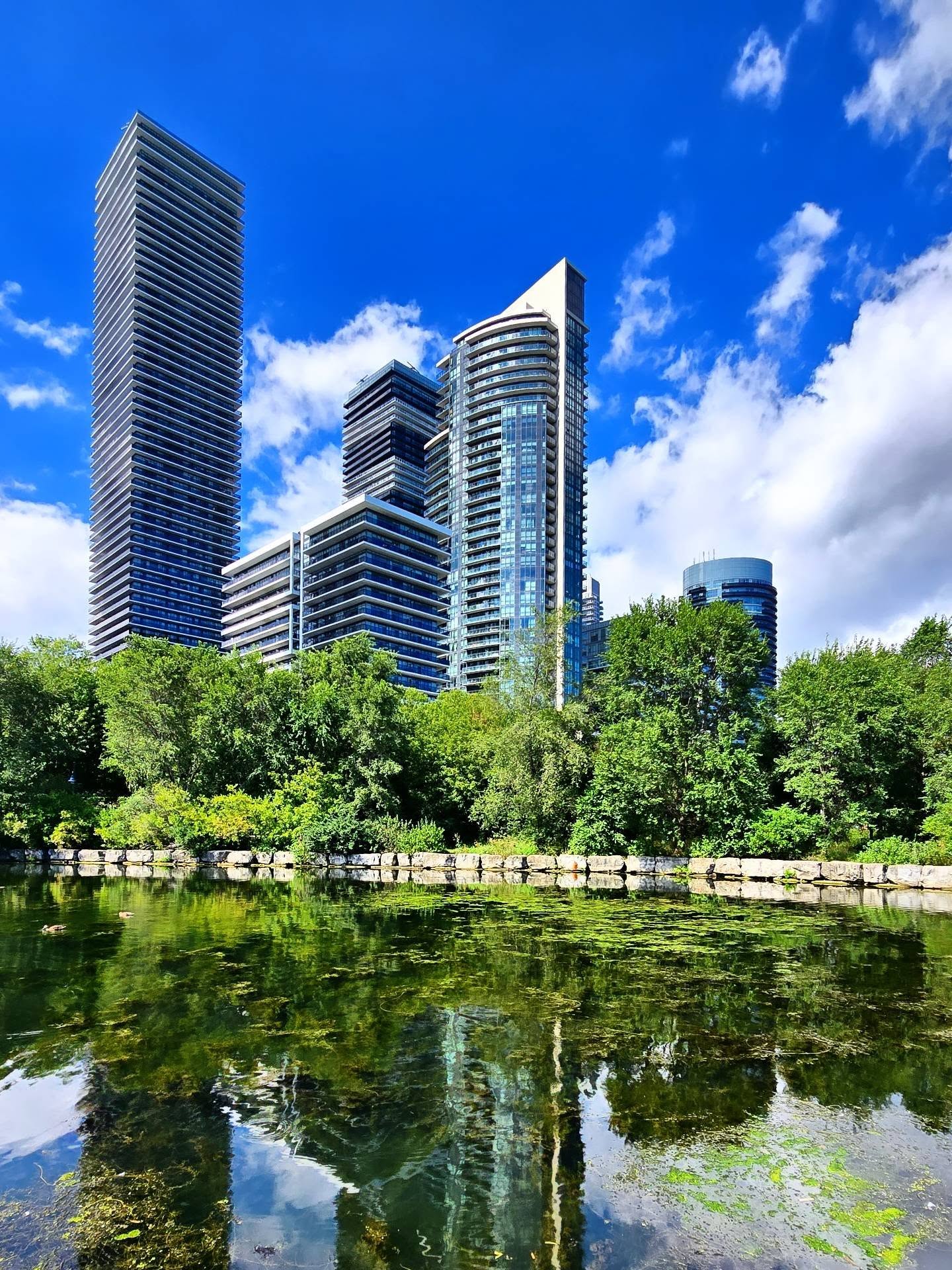 Humber Bay Shores condominium towers by the pond in Toronto