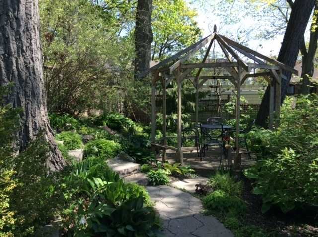 The backyard garden in summer at 17 Courcelette Road, Toronto