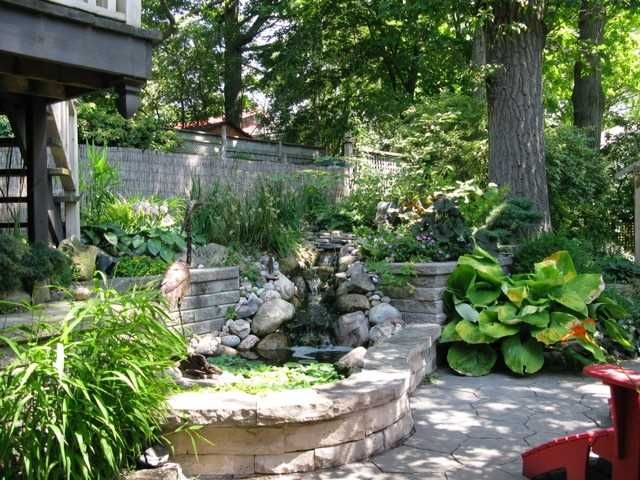 The backyard pond in summer at 17 Courcelette Road, Toronto