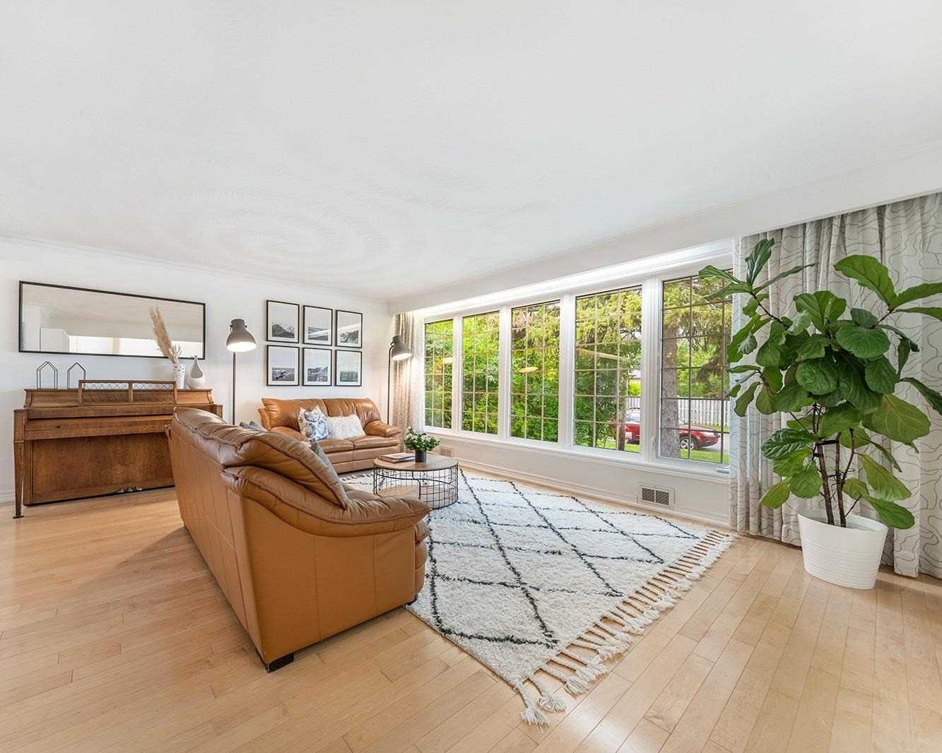 Living room with wall of windows, leather sofas, piano, and fiddle-leaf fig