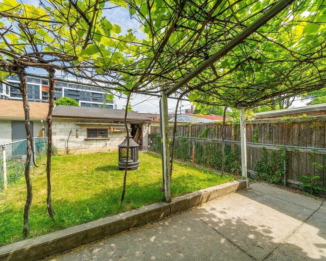 Backyard under the grapevine pergola, with the detached garage and lawn beyond